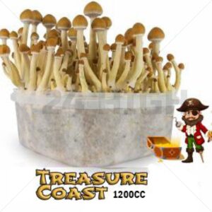 Mondo Grow Kit Treasure Coast