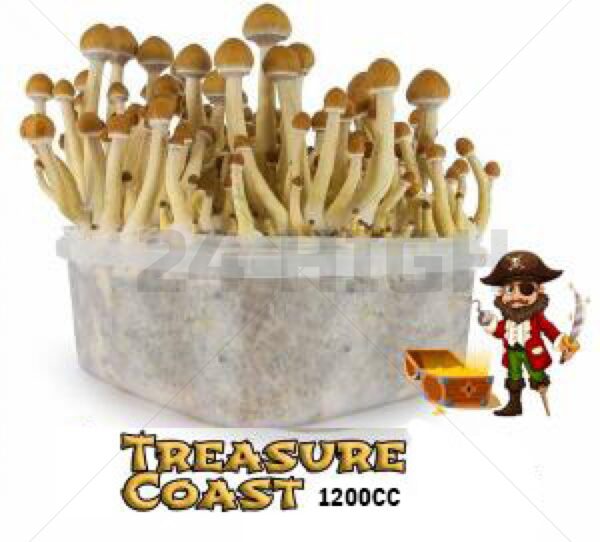 Mondo Grow Kit Treasure Coast