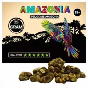 Psilocybe Amazonia Magic Truffles