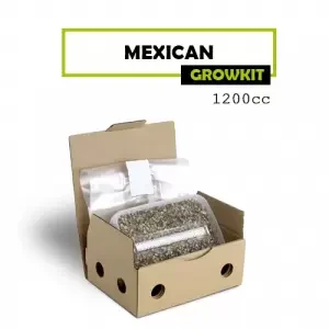 Mondo Grow Kit Mexicana