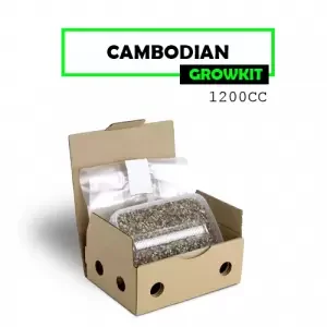 Mondo Grow Kit Cambodian