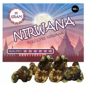 Psilocybe Nirwana Magic Truffles