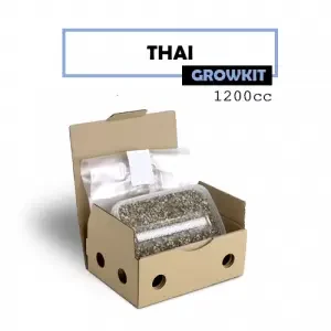 Mondo Grow Kit Ban Hua Thai