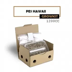 Mondo Grow Kit PES Hawaii